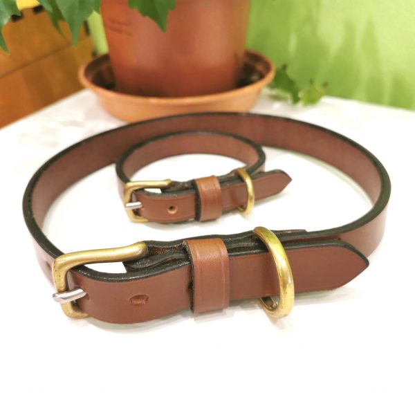 Dog Collar - Classic Style in Conker by Collar and Cuffs - lifestyle